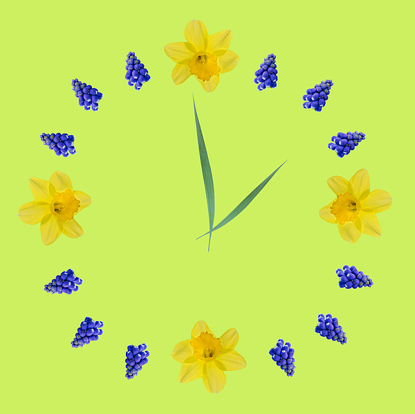 SpringTime Flower Clock Photograph by Iris Richardson