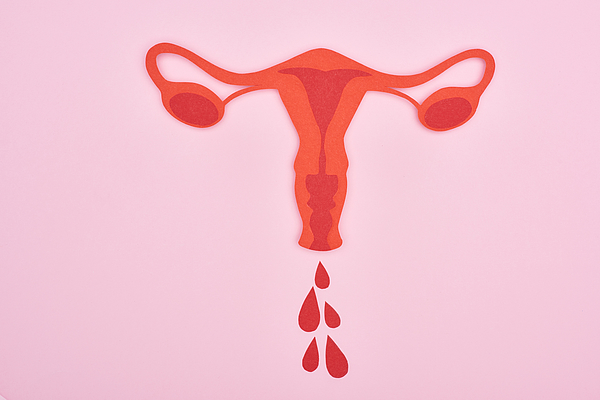 Top View Of Red Paper Cut Female Reproductive Internal Organs With Blood Drops On Pink Background Photograph by LightFieldStudios