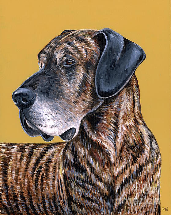 Animal Painting - Truman the Great Dane by Rebecca Wang