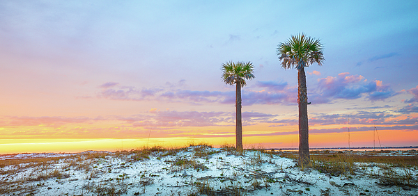 Two Palm Trees At Sunset Photograph by Jordan Hill