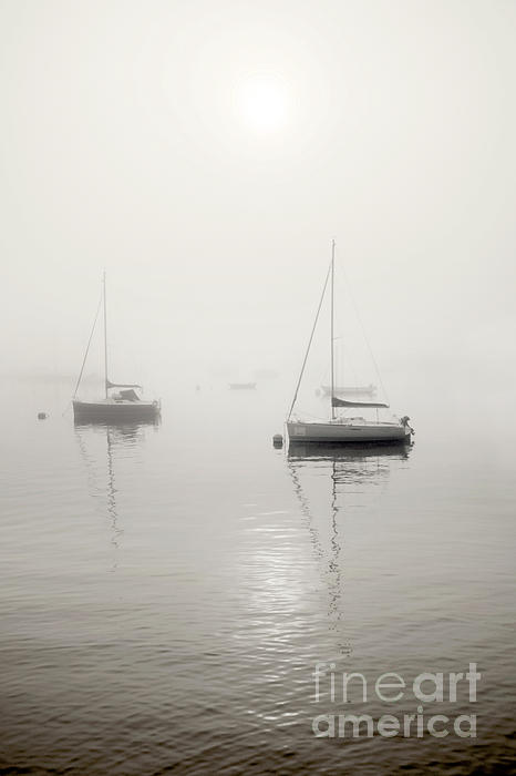 Yachts on a Mist Morning Photograph by Terri Waters