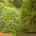 Carlos Thays Botanical Garden