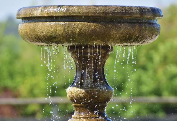 Online Art Contest - Water Fountains