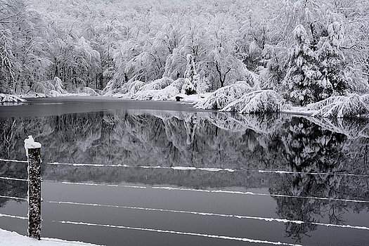 Winter Reflections