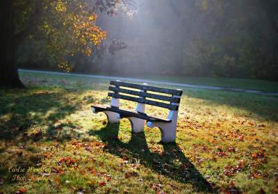 Benches