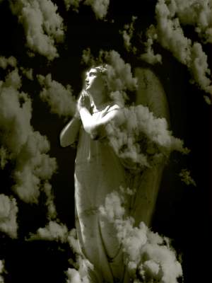A Favorite Angel Photograph or Painting
