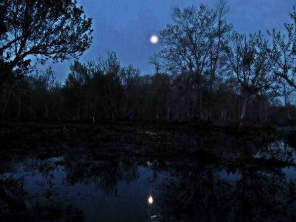 Midnight Landscape Photos