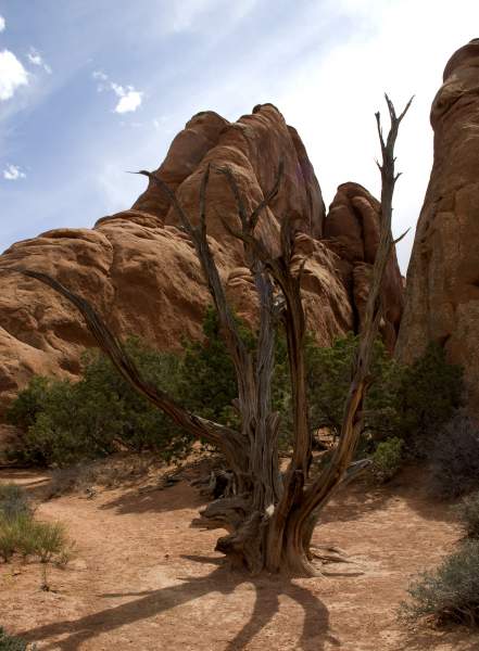 National Parks  Photographs only