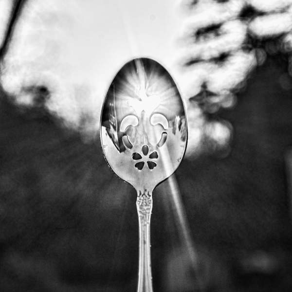 Weekly Photography Challenge Spoons