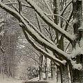 Scenic New England Winter Contest