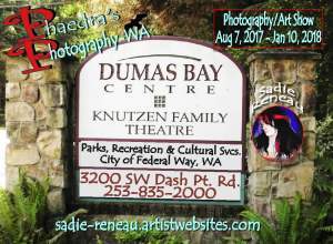 Sadie Reneau Photography-art Show At Dumas Bay...