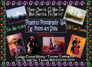 Phaedras Photography - Wa Art Show