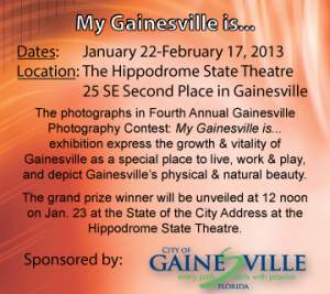 Finalists And Winners Of The Gainesville Photo...