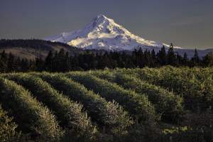 Photographer And Central Oregon Home Builder Team...