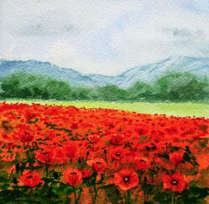 Limited Time Promotion  Red Poppy Field Print
