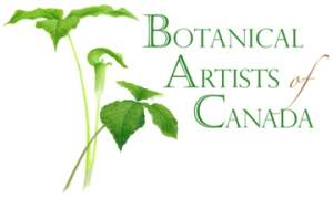 Botanical Artists Of Canada Todmorden Mills...