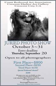 Juried Photo Show  