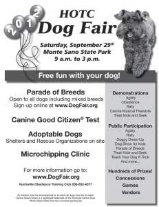10th Annual HOTC Dog Fair