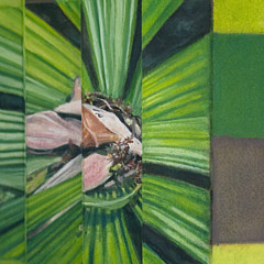 Artropica Innisfail Studio Gallery