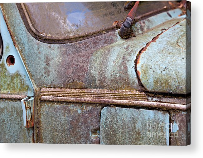 Rust Acrylic Print featuring the photograph Rusty Beetle Detail by David Bleeker