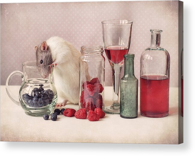 Fruit Acrylic Print featuring the photograph Curious #1 by Ellen Van Deelen