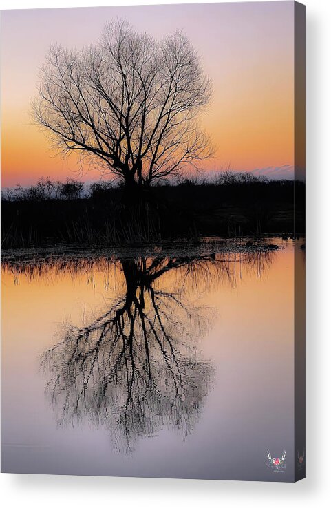 Silhouette Acrylic Print featuring the photograph Silhouette at Dawn by Pam Rendall