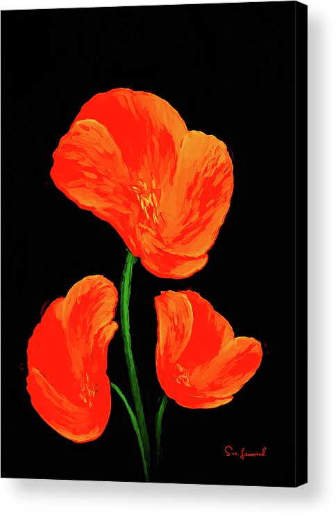 Botanical Acrylic Print featuring the photograph Poppy with texture by Sue Leonard