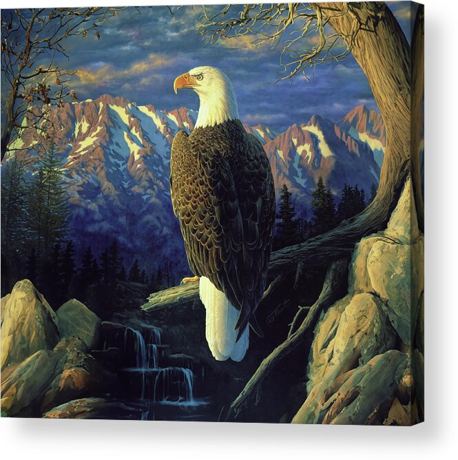 Bird Acrylic Print featuring the painting Morning Quest by Crista Forest