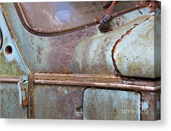 Rust Canvas Print featuring the photograph Rusty Beetle Detail by David Bleeker