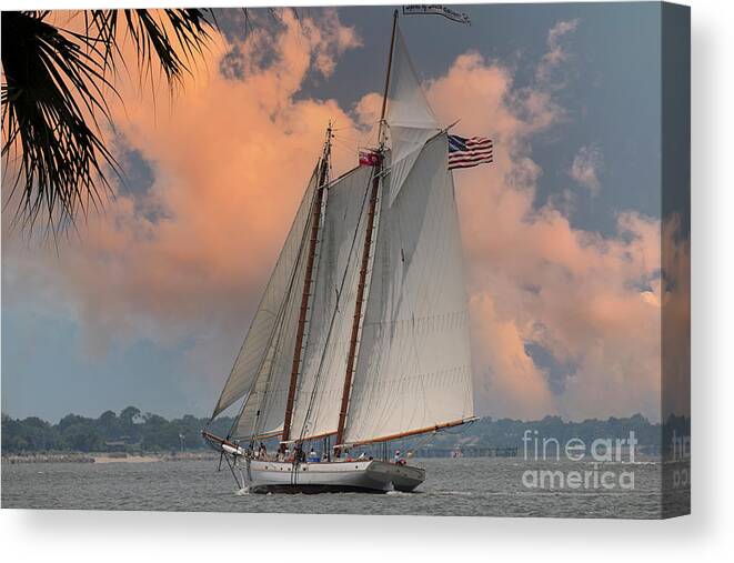 Spirit Of Sc Canvas Print featuring the photograph Spirit of SC - Tall Ship - Charleston Waters by Dale Powell