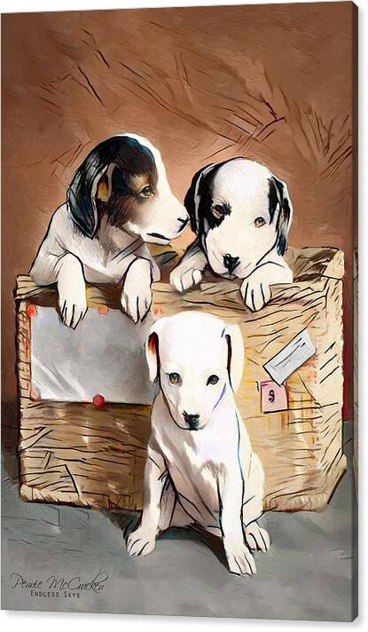 Limited Time Promotion: Puppies Stretched Canvas Print by Pennie McCracken