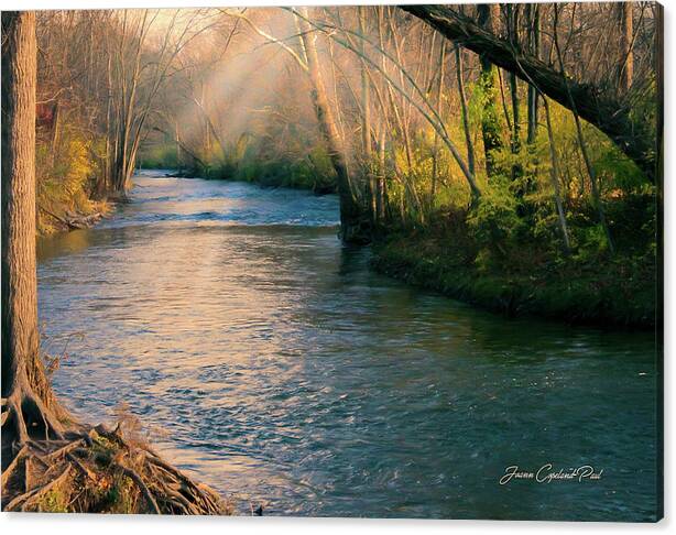 Limited Time Promotion: Clinton River Peaceful Waters  Stretched Canvas Print by Joann Copeland-Paul