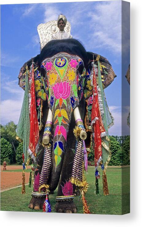 Decorated Indian Elephant Canvas Print / Canvas Art by Michele Burgess