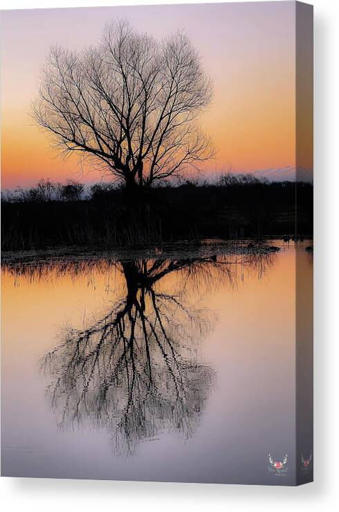 Silhouette Canvas Print featuring the photograph Silhouette at Dawn by Pam Rendall