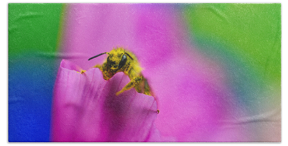 Bee Bath Towel featuring the photograph Guilty bee covered in pollen by Bruce Block