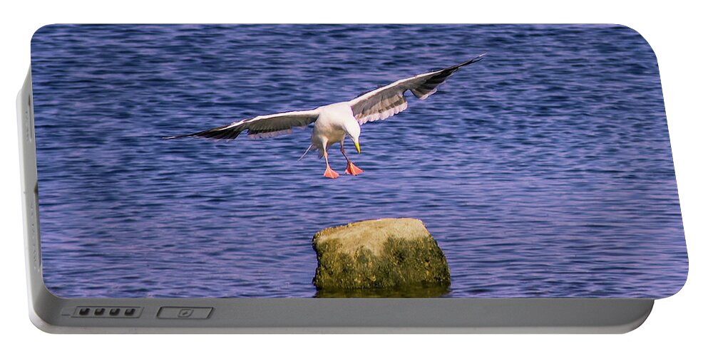 Birds Portable Battery Charger featuring the photograph Aerial Assault by Marcus Jones
