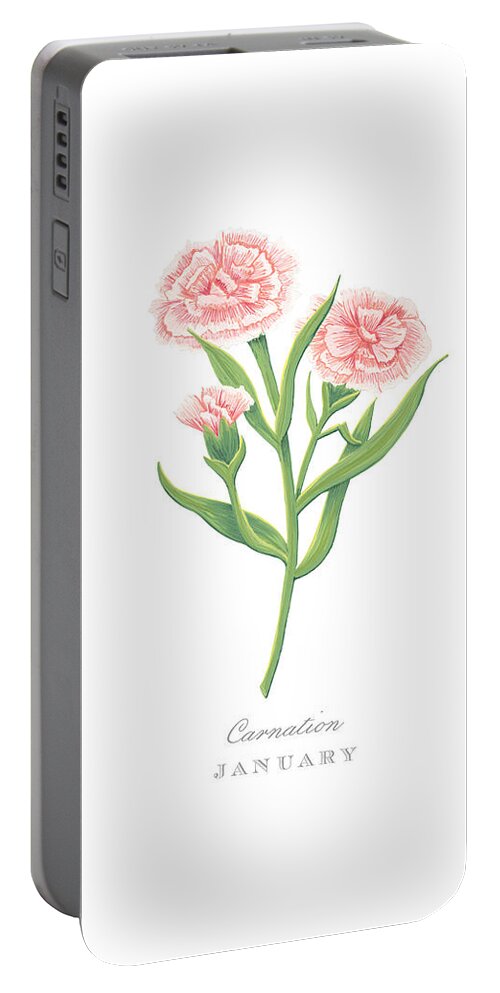 Carnation Portable Battery Charger featuring the painting Carnation January Birth Month Flower Botanical Print on White - Art by Jen Montgomery by Jen Montgomery