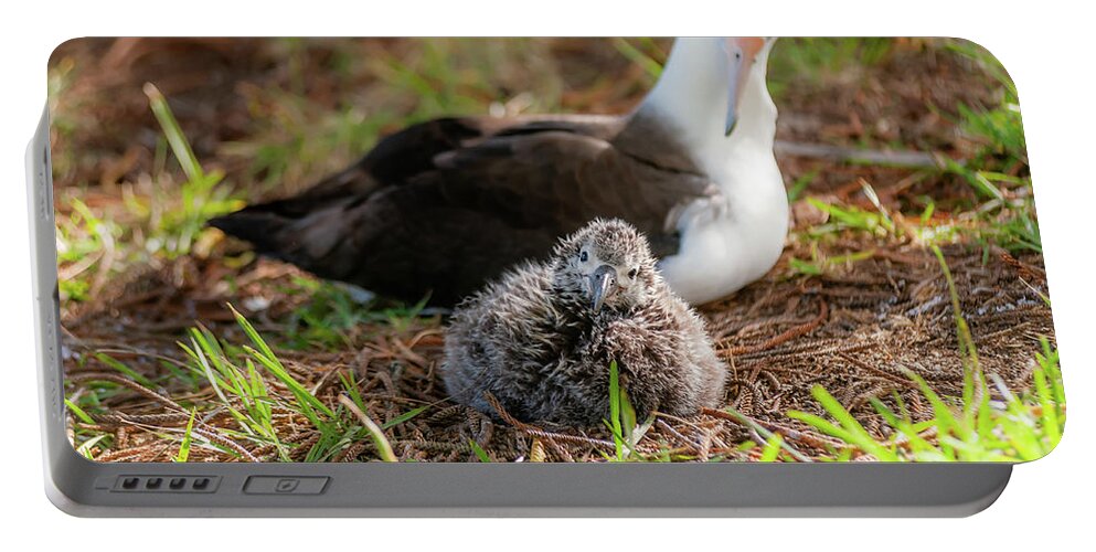 Kauai Portable Battery Charger featuring the photograph Laysan Albatross and Chick IV. by Doug Davidson