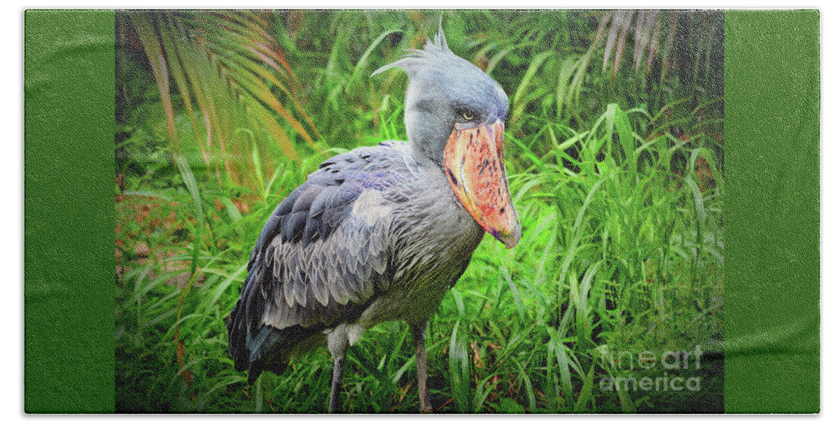 Shoe-billed Stork Beach Sheet featuring the photograph Shoebill Balaeniceps Rex by Savannah Gibbs