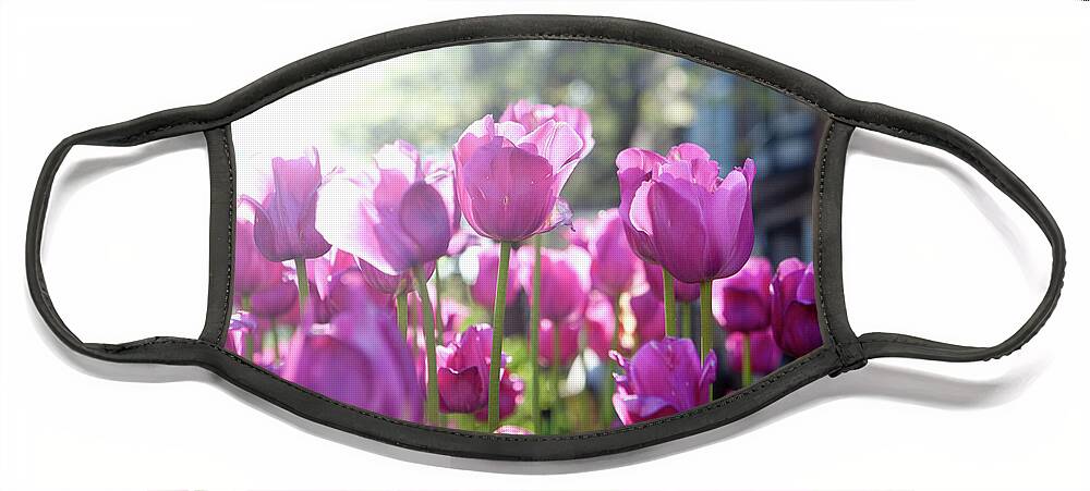 Tulips Face Mask featuring the photograph Lavender Tulips by Rich S