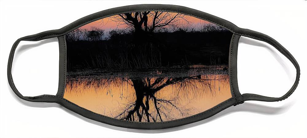 Silhouette Face Mask featuring the photograph Silhouette at Dawn by Pam Rendall