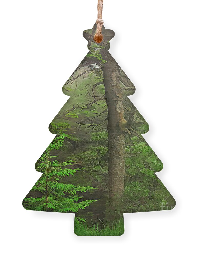 Forest Ornament featuring the photograph Deep in the Forest by Shelia Hunt