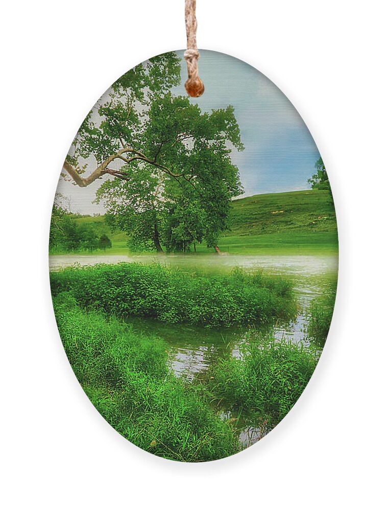 Reflection Ornament featuring the photograph Down by the Riverside by Shelia Hunt