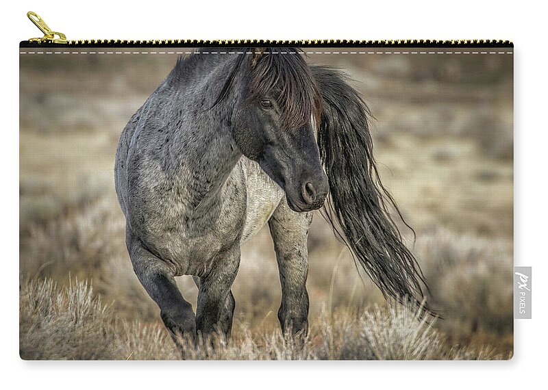  Zip Pouch featuring the photograph Big Blue #2 by John T Humphrey