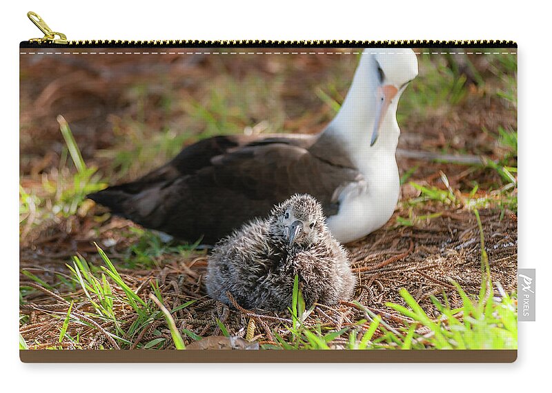 Kauai Zip Pouch featuring the photograph Laysan Albatross and Chick IV. by Doug Davidson