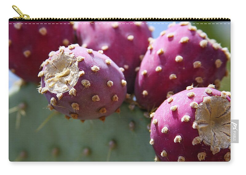 Prickly Pear Zip Pouch featuring the photograph Plump Prickly Pear by Bonny Puckett