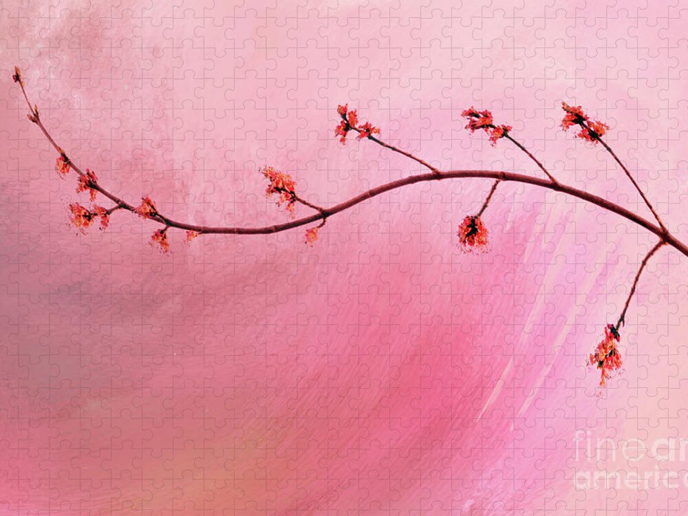 Abstract Jigsaw Puzzle featuring the photograph Abstract Maple Flower Branch by Anita Pollak