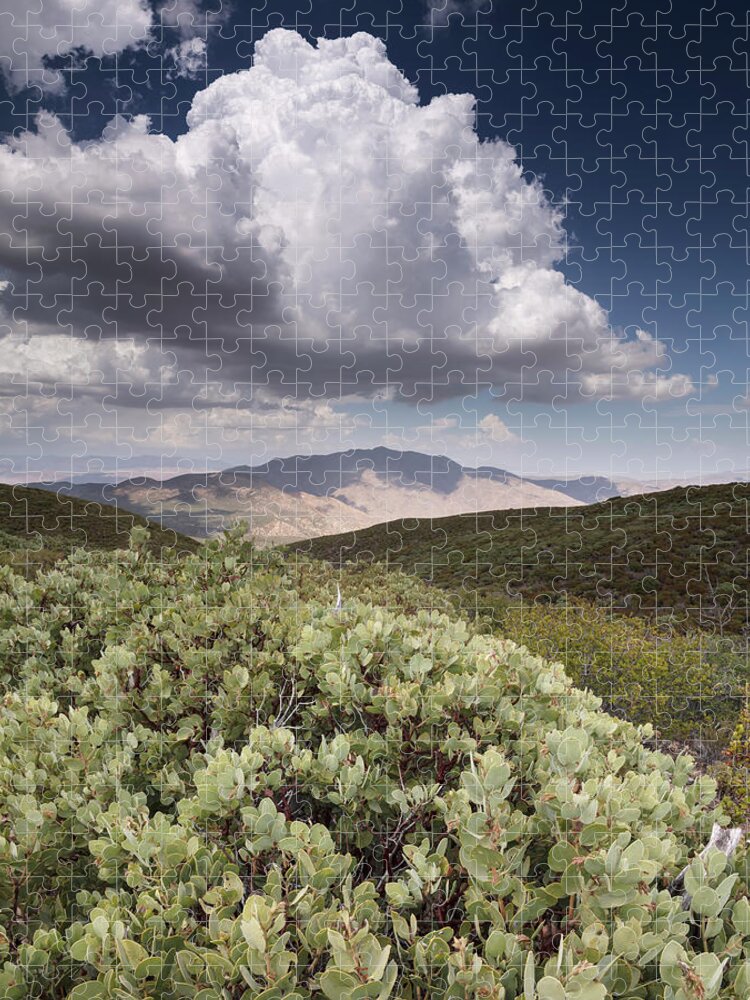 San Diego Jigsaw Puzzle featuring the photograph Laguna Mountain Manzanita and Monsoon by William Dunigan