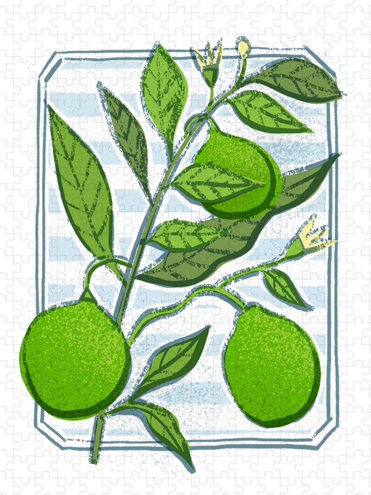 Lime Jigsaw Puzzle featuring the painting Lime Bistro Citrus Botanical Art - Art by Jen Montgomery by Jen Montgomery