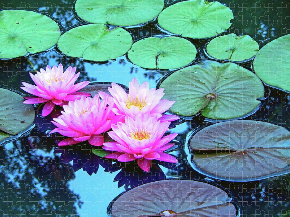 Nature Jigsaw Puzzle featuring the photograph Pink Waterlilies Horizontal 300			 by Sharon Williams Eng